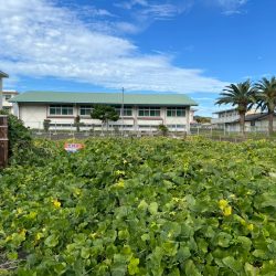 鳥栖市原古賀町　売地　80坪 画像9